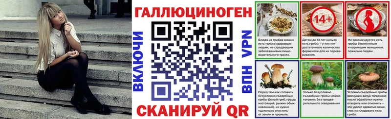 Псилоцибиновые грибы GOLDEN TEACHER  Купить  Кириллов 